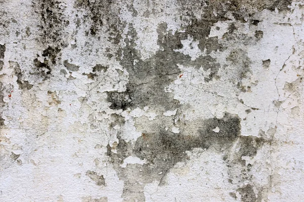 Abstract Grunge Texture Background — Photo