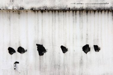 Çatallı eski beton duvar 