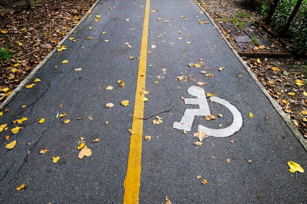 Disabled Wheelchair Sign Park — Stock Photo, Image