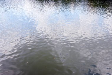 Güzel göl manzarası