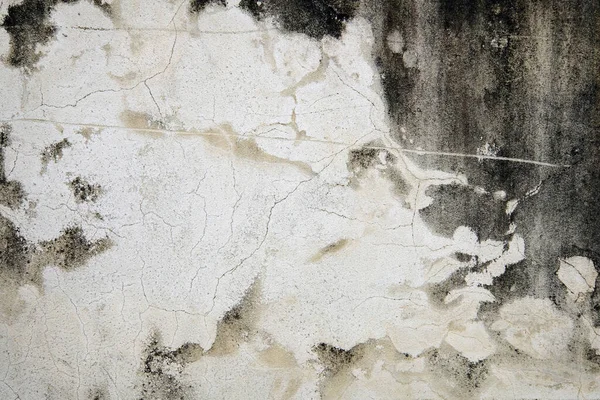 Old Wall Background White Paint — Stock Photo, Image