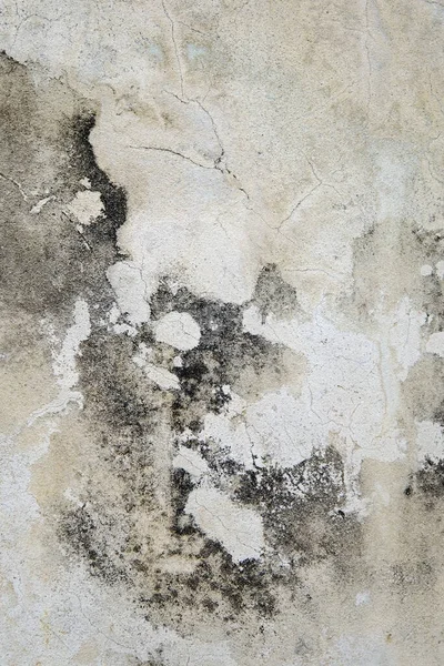Muro Cemento Con Vernice Incrinata — Foto Stock