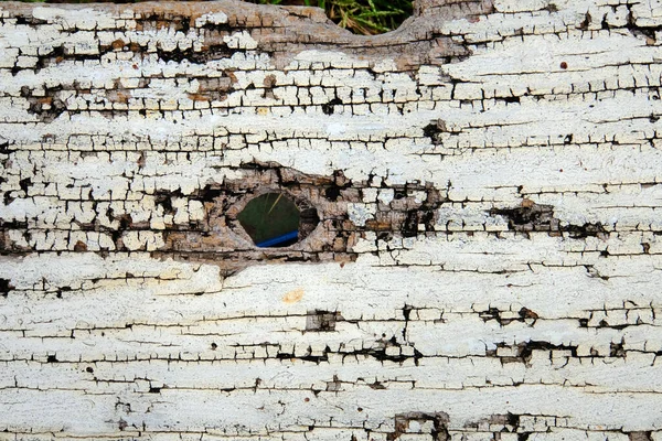 Vieux Panneau Bois Avec Des Trous Des Trous Dans Bois — Photo