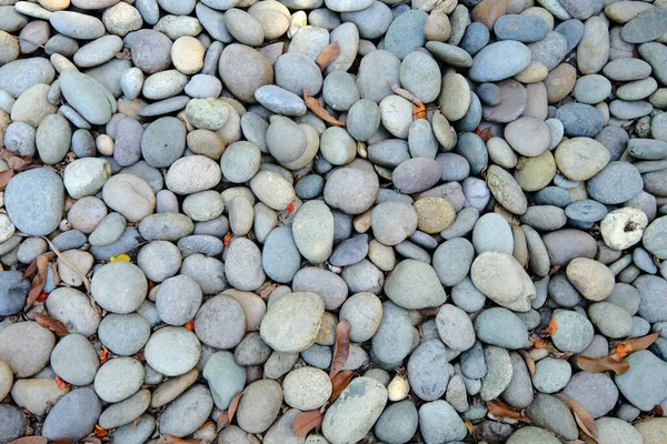 Kamienie Kamienie Tle — Zdjęcie stockowe
