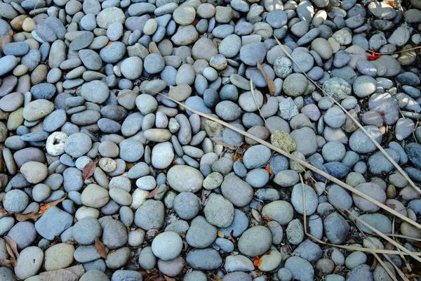 Yere Çakıl Taşları Çakıl Taşları — Stok fotoğraf