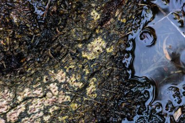 Nehre su sıçrıyor