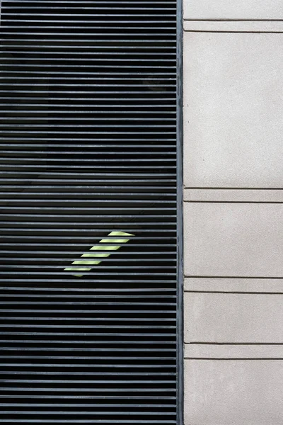 Πράσινο Φύλλο Στον Τοίχο — Φωτογραφία Αρχείου