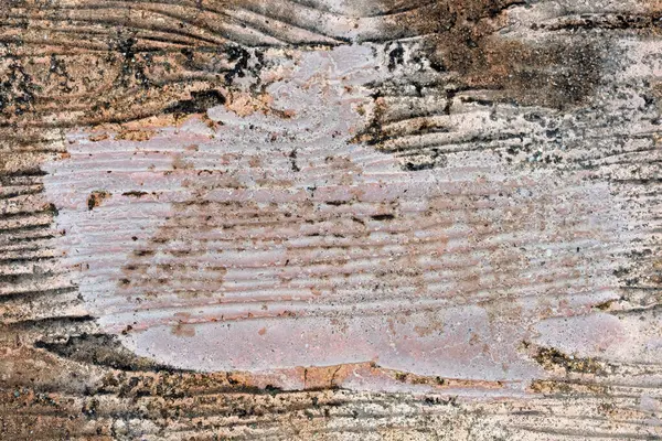 Tło Tekstury Drewna Naturalne Tło Tekstury Drewna — Zdjęcie stockowe