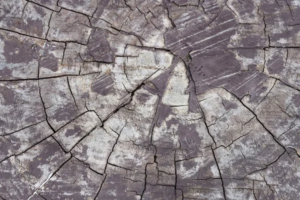 cracked wood texture. natural background. cracked wood texture