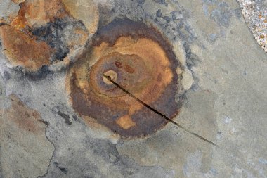 Eski duvar dokusu arkaplanı.