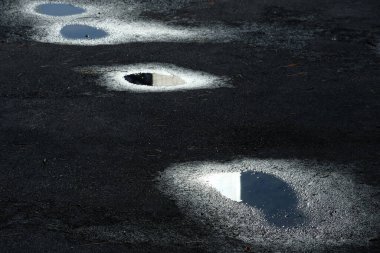 Ormanda asfalt yol