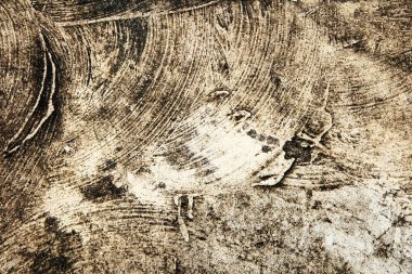 Ahşap doku doğal desenli. Ahşap arka plan.