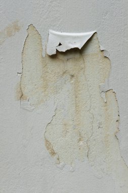 Alçılı eski duvar.