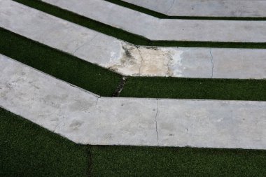 Bahçedeki yeşil çimenler