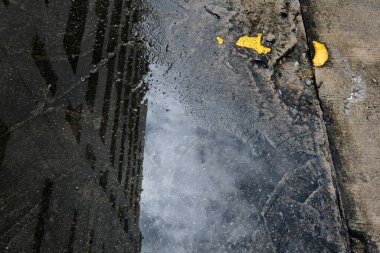 Sarı ve siyah su sıçraması