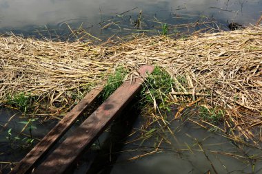 Nehirdeki ahşap köprü