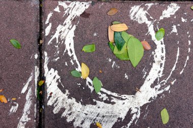 Sonbahar yaprakları asfaltta.