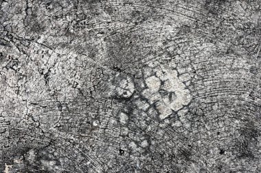 grunge beton duvar dokusu