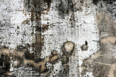 Eski duvar dokusu. Grunge 'un arka planı. gri beton duvar