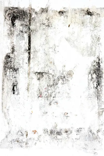 metin veya resim için alanı olan grunge arkaplanı