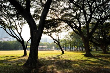 Sabah parkın şehri.