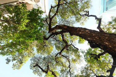 Adanın güzel manzarası