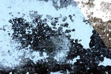 Eski beton duvarın kabuğu soyulmuş.