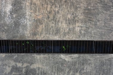 Yoldaki yeşil çimenler.