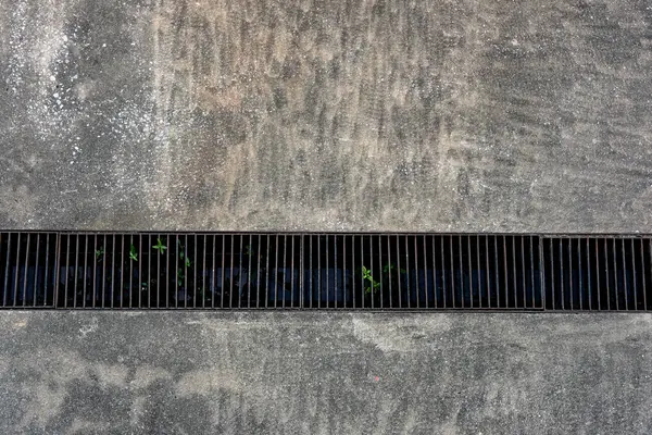 Yoldaki yeşil çimenler.