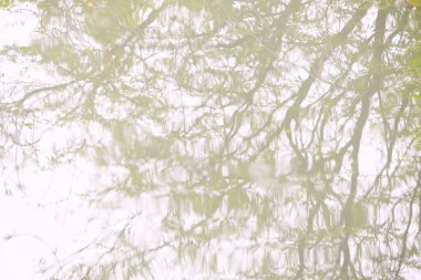 Gölette su yansıması