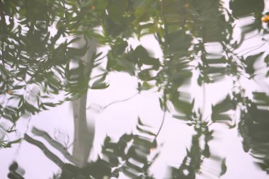 Yaprakların soyut arkaplanı