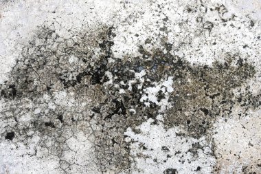 eski doku duvar çatlakları ve çizikler