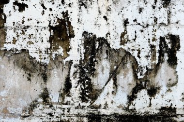 siyah-beyaz boya arka plan