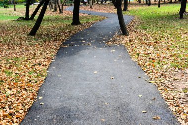 Parkta yürüyüş yolu