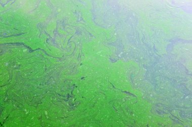 Metin için alanı olan soyut arkaplan