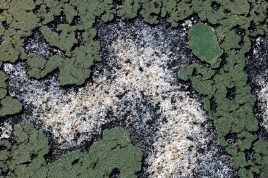 grunge deseni, eski soyut desen, arkaplan, klasik duvar