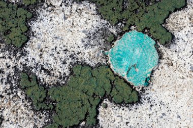 Çatlakları ve çizikleri olan beton bir duvarın dokusu arka plan olarak kullanılabilir.