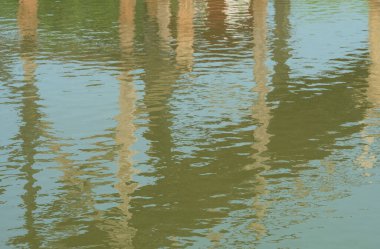 Göldeki ağaçların yansıması