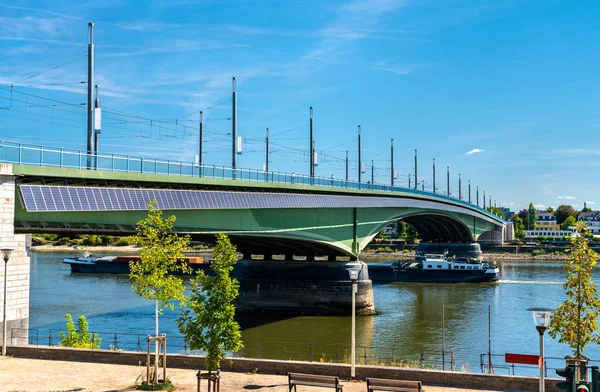 Мост Кеннеди Через Рейн Бонне Северный Рейн Вестфалия Германия — стоковое фото