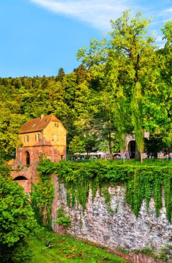 Baden-Wuerttemberg, Almanya 'daki Heidelberg Kalesi harabeleri