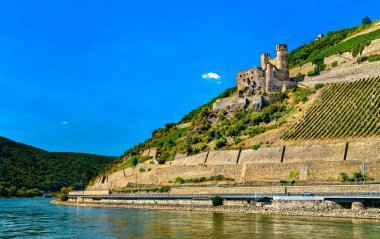 Ehrenfels Castle with vineyards in summer. The Rhine Gorge, UNESCO world heritage in Germany
