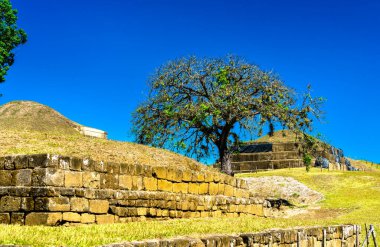 San Andres Maya harabeleri El Salvador, Orta Amerika