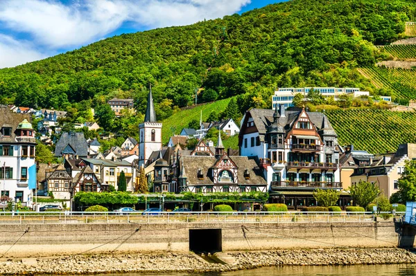 Ruedesheim Rhein Ved Rhinen Tyskland – stockfoto