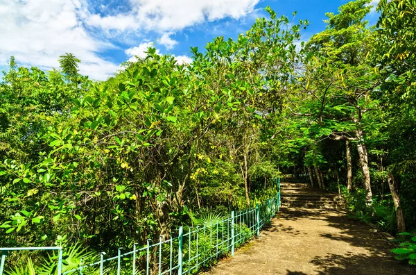 Path at the Three Eyes National Park in Santo Domingo, Dominican Republic