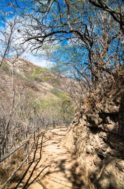 Hawaii 'deki Oahu Adası' nda Diamond Head Gözcü Yolu