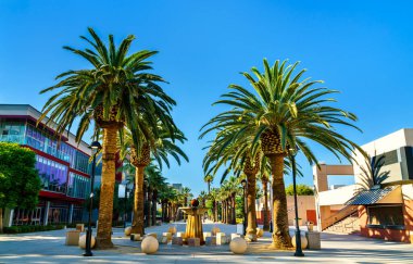 Paseo de Cesar Chavez, San Jose Eyalet Üniversitesi, ABD