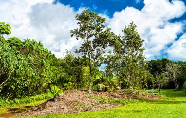 Hawaii, Oahu adasındaki Hoomaluhia Botanik Bahçesi