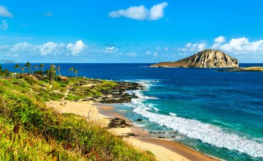 Makapuu Sahili ve Oahu 'daki Manana Adası - Hawaii, ABD
