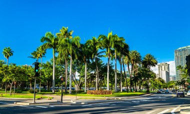 Honolulu 'daki Fort DeRussy Plaj Parkı' nda palmiye ağaçları - Oahu Adası, Hawaii