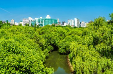 Yeouido Saetgang Ekoloji Parkı Seul, Güney Kore 'de.